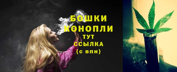 молекула духа Пестово